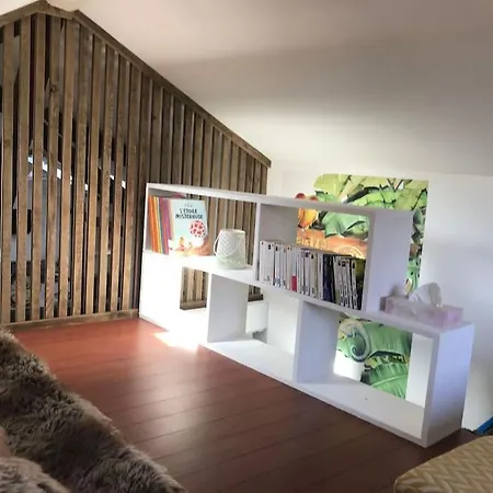 Le Cocooning Alpin Classé 2 étoiles Aux De France * Chambéry