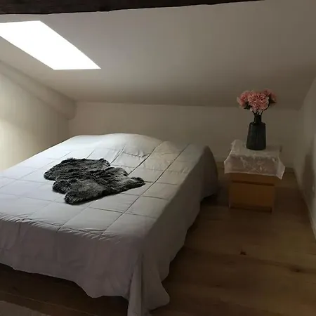 Le Cocooning Alpin Classé 2 étoiles Aux De France Appartamento Chambéry